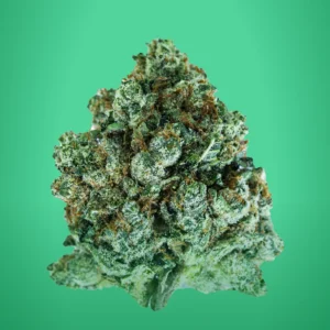 BUY THE DOPEST GENETICS