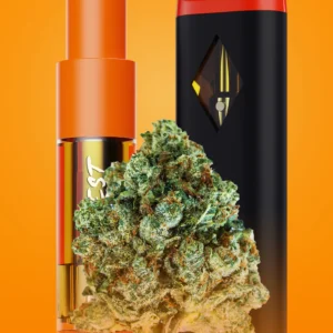 BUY THE DOPEST NEWLY RELEASES